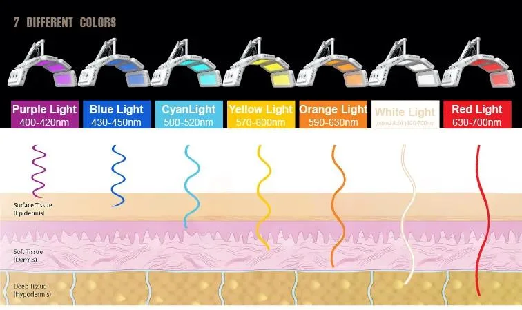 Facial Skin Care PDT LED Light Therapy LED Photon Machine